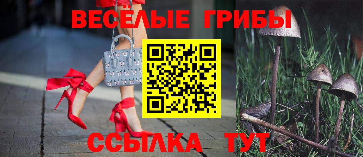 Гусиноозёрск  Псилоцибиновые грибы Psilocybe  Вход с VPN 